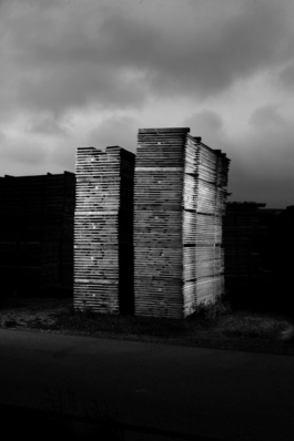 Billy Ben Grafik Atelier