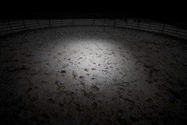 Billy Ben Grafik Atelier