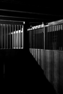 Billy Ben Grafik Atelier