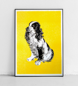 Billy Ben Grafik Atelier